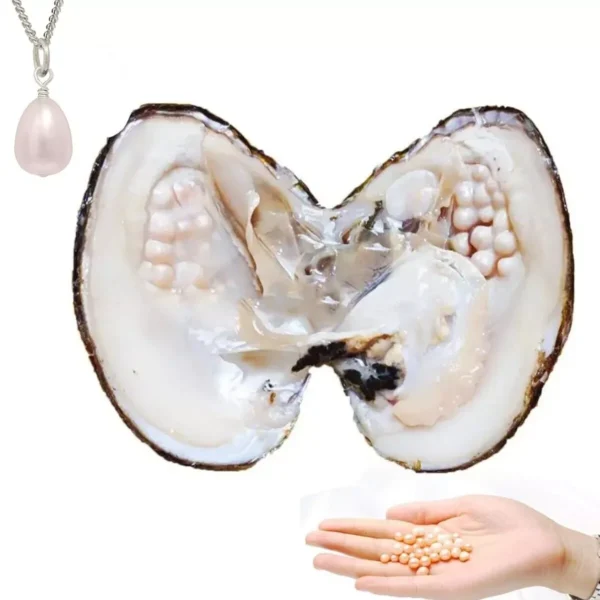 Goddess Whispering Shells: Colorful Surprise Pearl Oyster - Image 2
