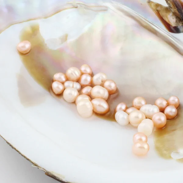 Goddess Whispering Shells: Colorful Surprise Pearl Oyster - Image 3
